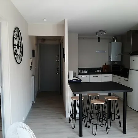 Confortable En Plein Centre De Saint-jean-de-luz, A Deux Pas De La Et Des Commerces - Fr-1-239-586 Saint-Jean-de-Luz